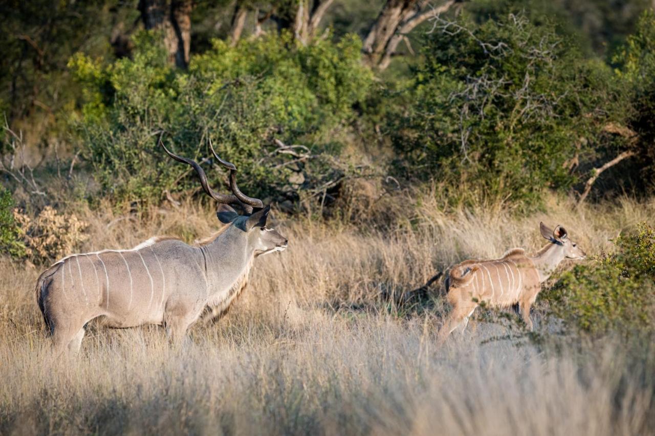 Nkuhlu Tented Camp Skukuza Exterior photo