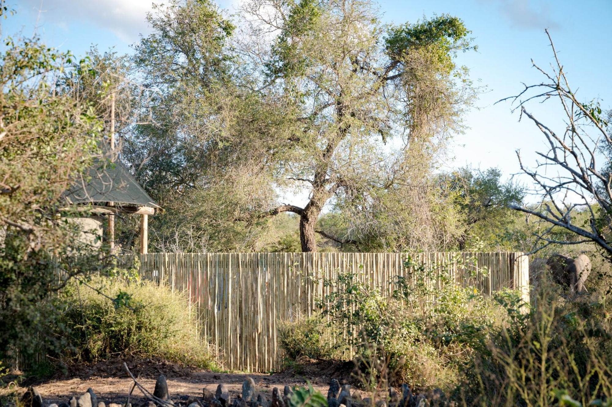 Nkuhlu Tented Camp Skukuza Exterior photo